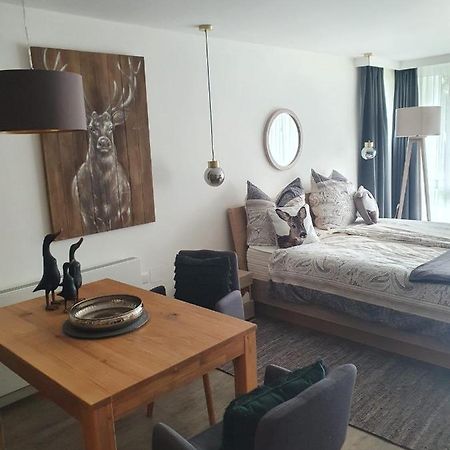 Maurers Schlierseetraum 6, Studio 455 Mit 42 Qm Neu Renoviert, Erdgeschoss Mit Eingezaeunter Terrasse In Ruhiger Lage Am Kirchbichlweg 8 外观 照片