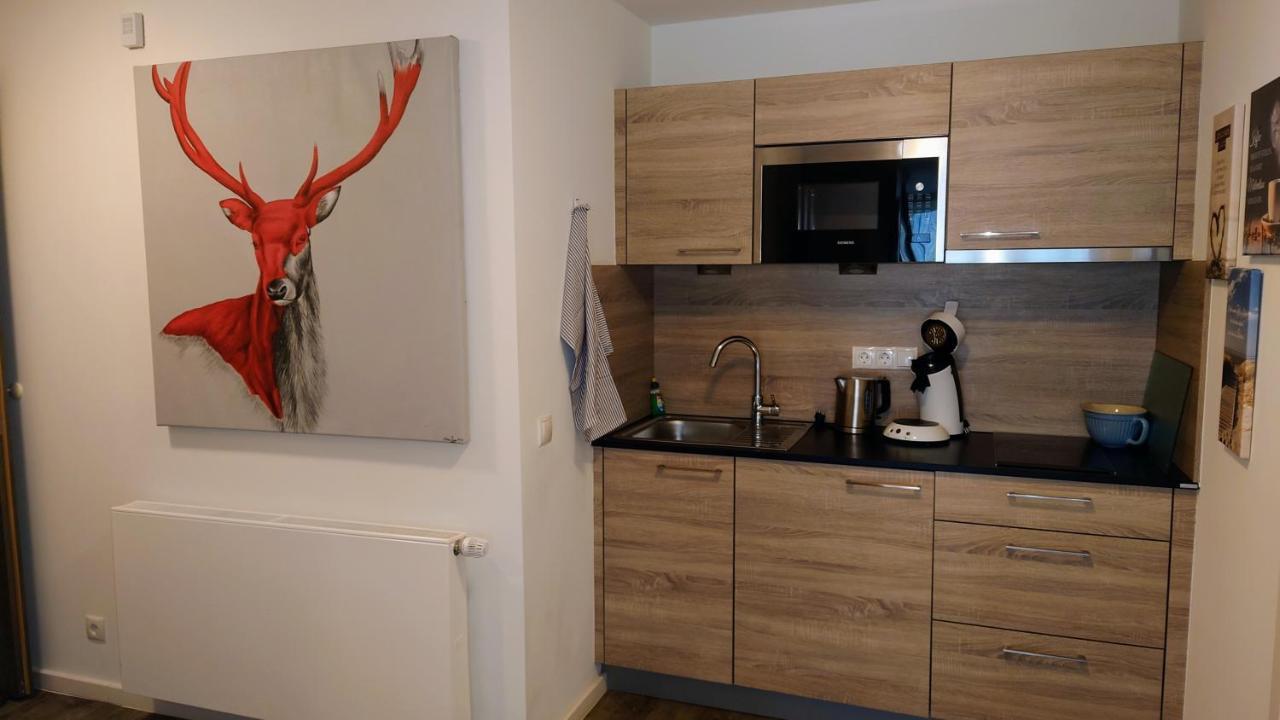 Maurers Schlierseetraum 6, Studio 455 Mit 42 Qm Neu Renoviert, Erdgeschoss Mit Eingezaeunter Terrasse In Ruhiger Lage Am Kirchbichlweg 8 外观 照片