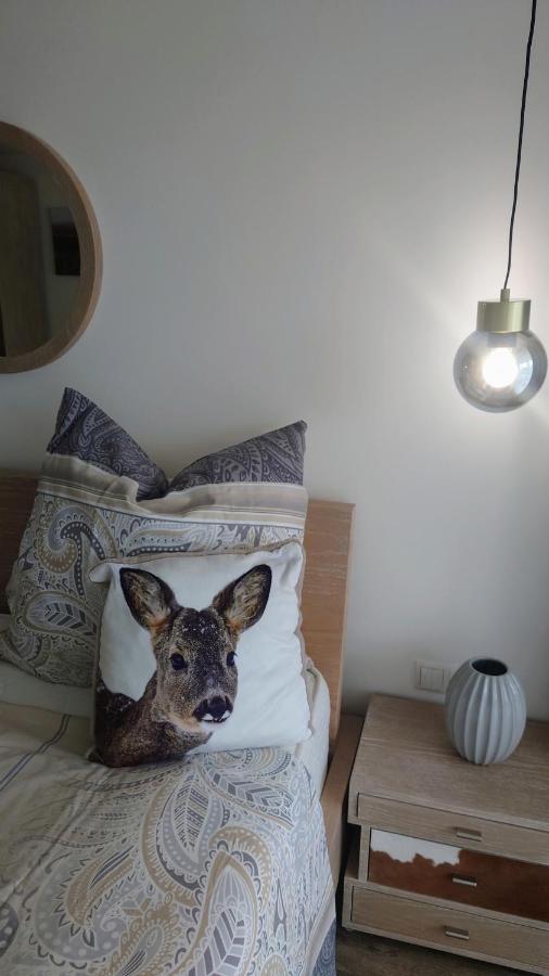 Maurers Schlierseetraum 6, Studio 455 Mit 42 Qm Neu Renoviert, Erdgeschoss Mit Eingezaeunter Terrasse In Ruhiger Lage Am Kirchbichlweg 8 外观 照片