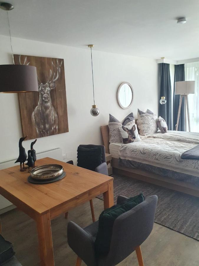 Maurers Schlierseetraum 6, Studio 455 Mit 42 Qm Neu Renoviert, Erdgeschoss Mit Eingezaeunter Terrasse In Ruhiger Lage Am Kirchbichlweg 8 外观 照片